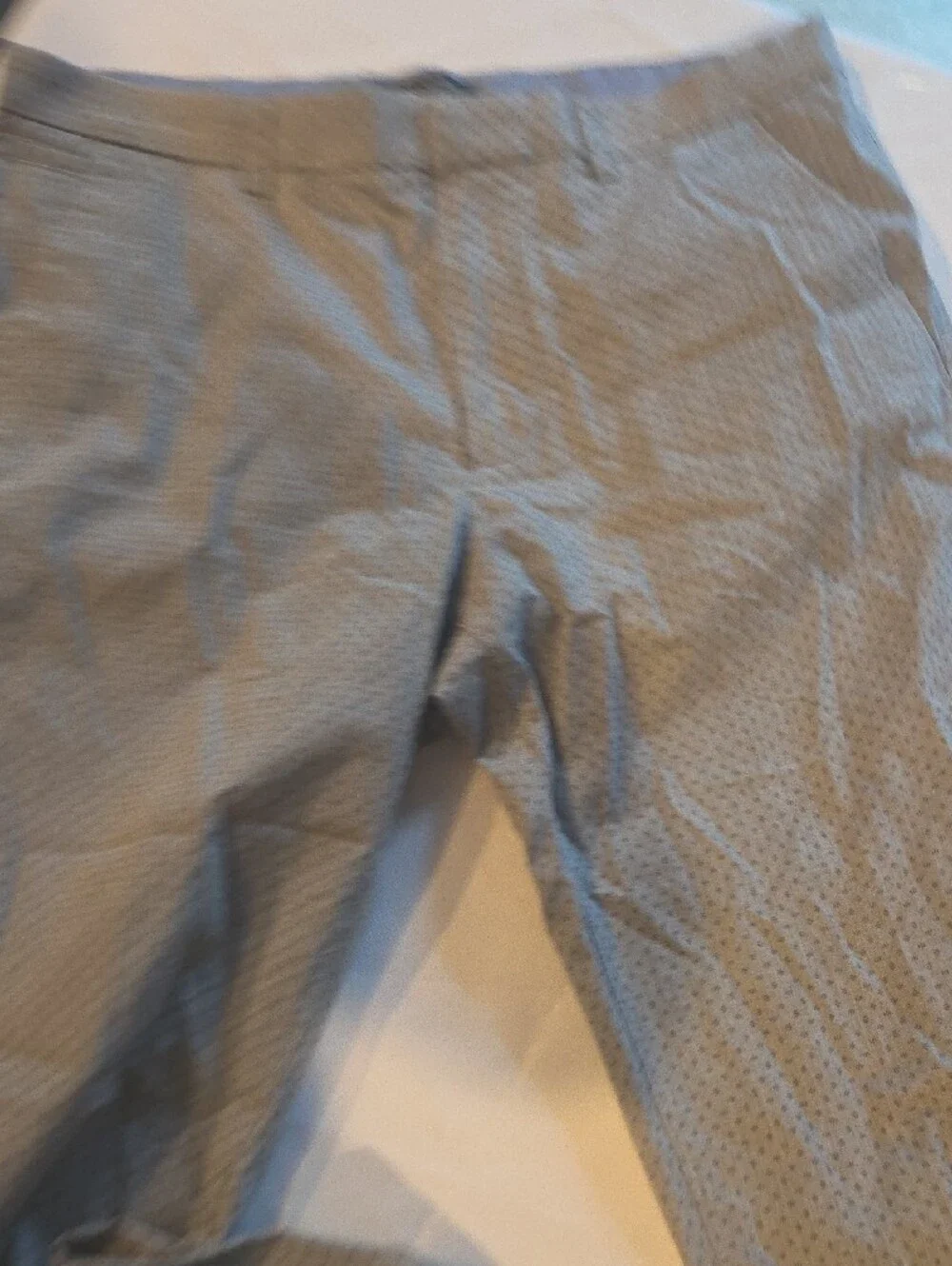 Banana Republic Light Gray Men's Dress Pants with Micro Dot Pattern